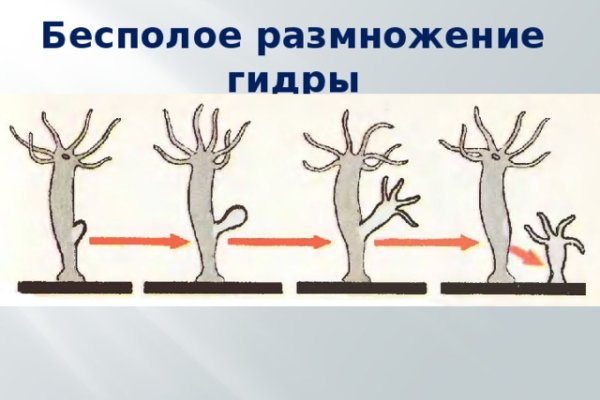 Ссылка на kraken торговая площадка