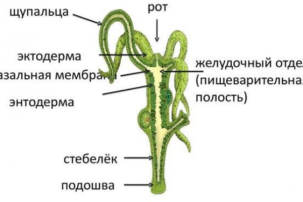 Как зайти на кракен