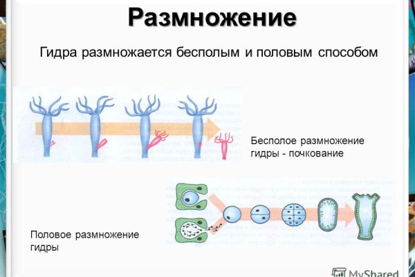 Даркмаркет кракен