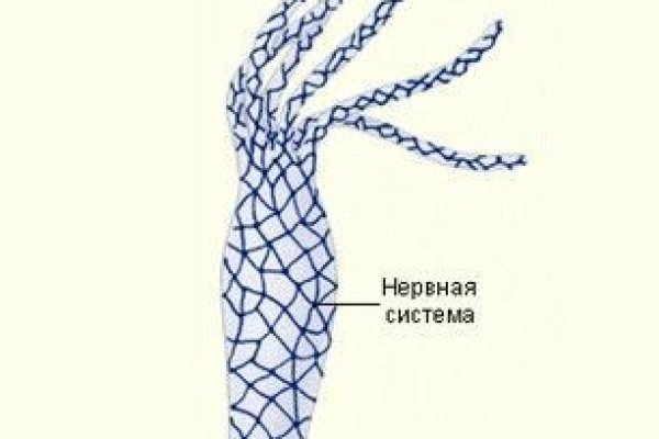 Официальный сайт даркнет